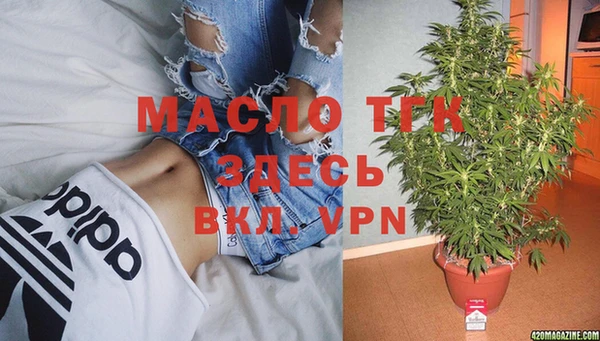ГАЛЛЮЦИНОГЕННЫЕ ГРИБЫ Карталы