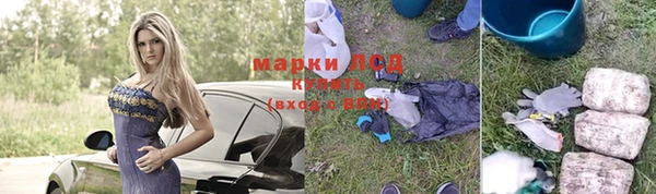 ГАЛЛЮЦИНОГЕННЫЕ ГРИБЫ Карталы